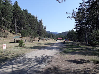 Ilgaz Zipline