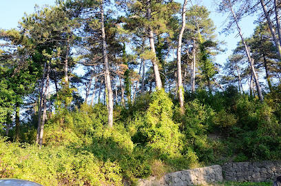 İncivez Çamlığı Tabiat Parkı