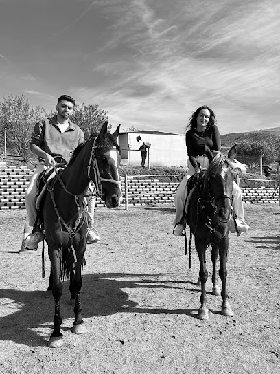 İpek Yolu At Çiftliği