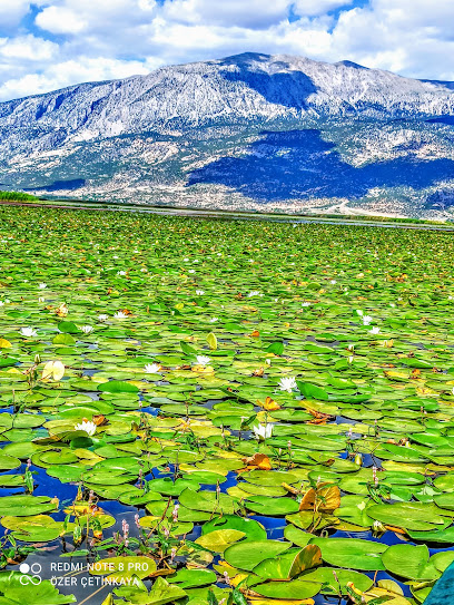 IŞIKLI GÖLÜ TEKNE TURU FİYATLARI