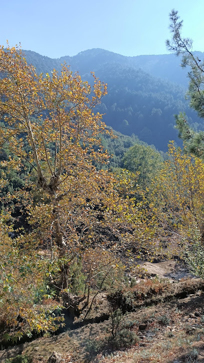 İsrafil Deresi Yürüyüş, Kamp ve Offroad Parkuru