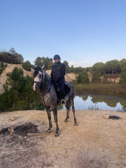 İstanbul atlı safari
