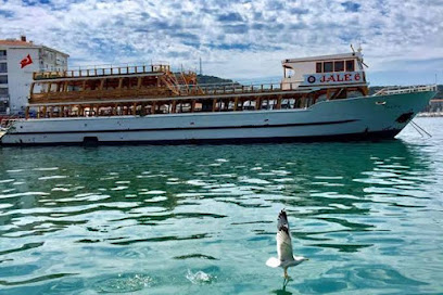 Jale 6 Ayvalık Tekne Turu