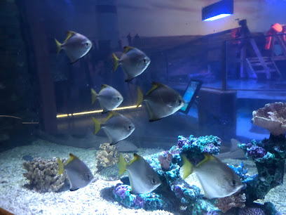 Kadıköy Sualtı Merkezi