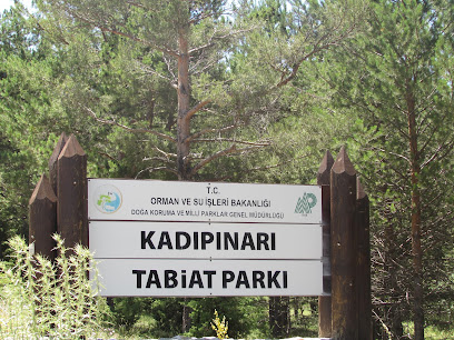 Kadıpınarı Tabiat Parkı