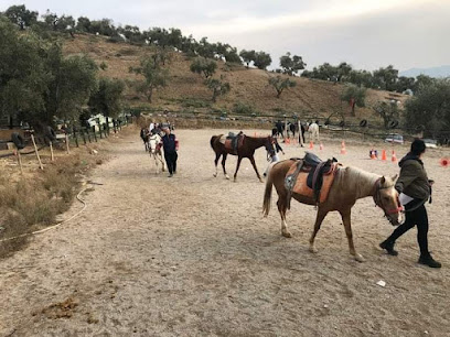 Kahramanmaraş Atlı Binicilik Spor Klubü