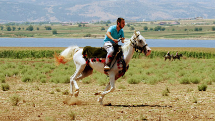 Kahramanmarasatlıbinicilikspor kulübü