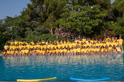 Kamp Dünyası Yaz Kampı - Kayak Kampı - Summer Camp - Doğa Kampı - Gelişim Yaz Kampı