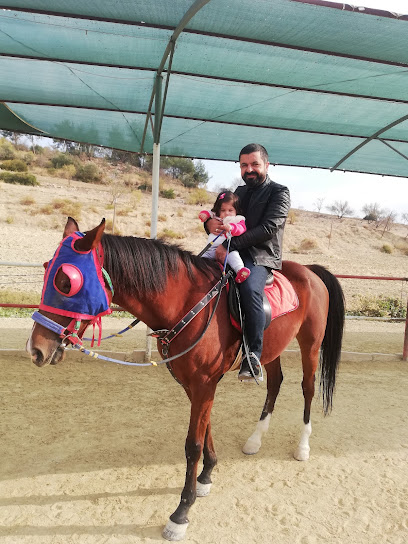 KAPADOKYA RANCH GÜZEL ATLAR DİYARI