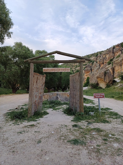 Kaplumbağa Vadisi (Kanyonu)