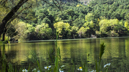 Karagöl Orman Kampı