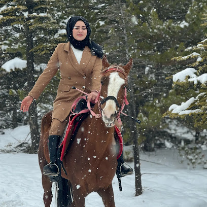 Karaman Sosyal Tesisleri