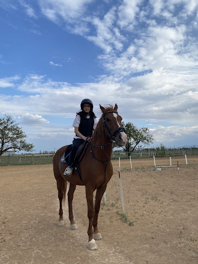 KARATEPE BİNİCİLİK VE TENİS KULÜBÜ