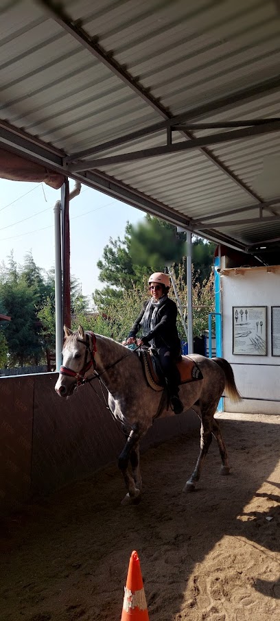 Karesi Obası Atlı Binicilik ve Savaş Sanatları Eğitim Merkezi