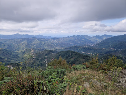 Karınca Kalesi Panorama