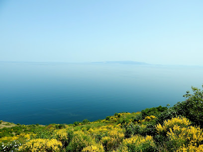 Kartaltepe Tabiat Parkı