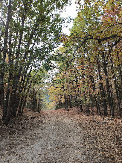 Kasnak Meşesi Tabiatı Koruma Alanı