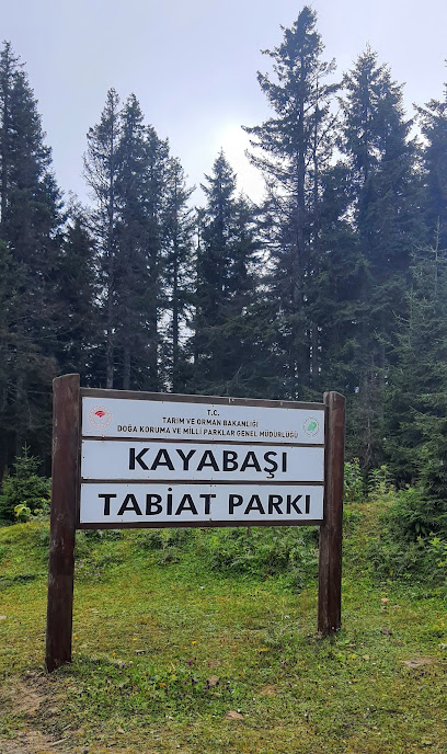 Kayabaşı Tabiat Parkı