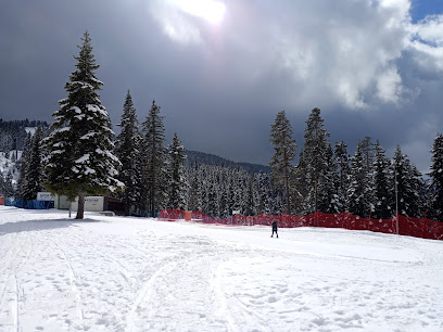 Kayak Federasyonu Bilet Gişesi