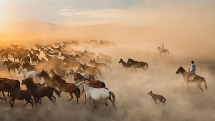 Kayseri At Biniciliği Hürmetçi Çiftliği