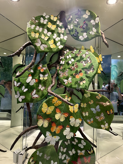 Kelebekler vadisi parkı