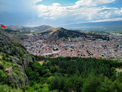 Kemal Aşık Ormanı