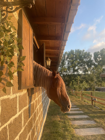 Kerem Bey At Çiftliği