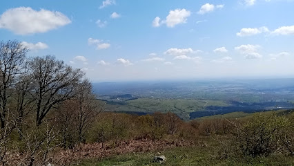 KIRKLARELİ PINARHİSAR YENİCE MAYATEPE DOGA