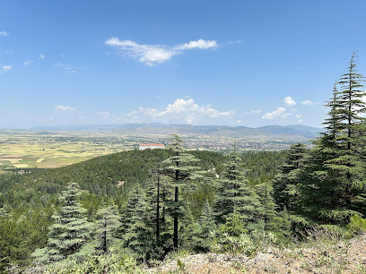 Kızıldağ Milli Parkı