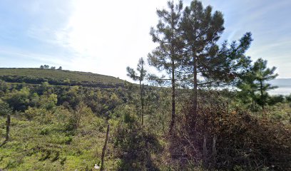 Knight Online Yürüyüş Parkuru