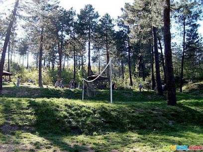 Kocaeli Kent Ormanı