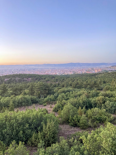 Kocakır Terapi Ormanı