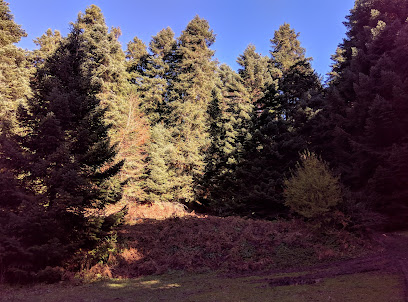 Kökez Tabiatı Koruma Alanı