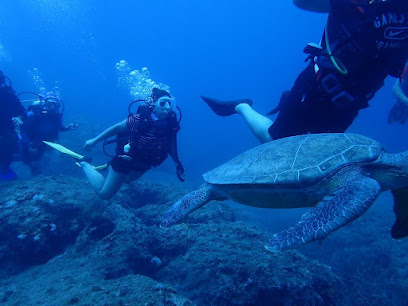 Konya Dalış Merkezi