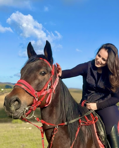 Körfez At Çiftliği