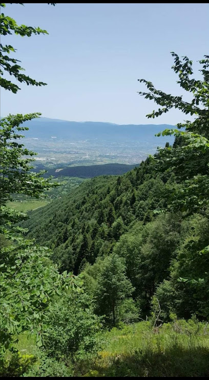 Kozlu Köyü Yaylası