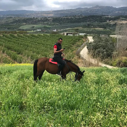 Kürk at binme merkezi Burak yüksel