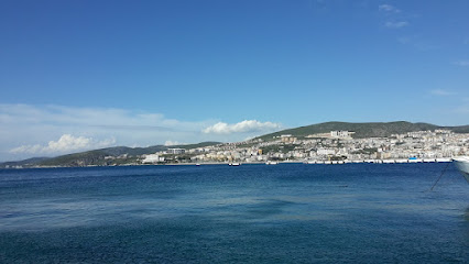 KUŞADASI BALIK TURU