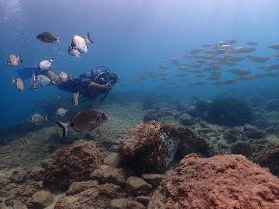 Kuşadası Octopus Diving Center