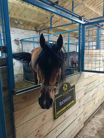 KÜTAHYA DOĞA BİNİCİLİK KULÜBÜ & AT ÇİFTLİĞİ