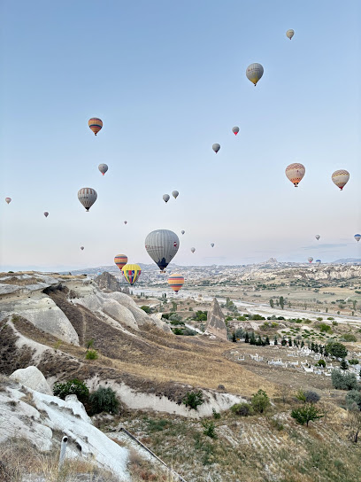 Land of beautiful horses Travel