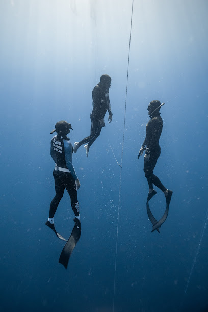 Life Aquatic Freediving & Yoga School.