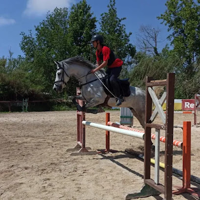 Looks country horse club