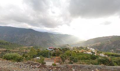 Madenli Serinyol yolu