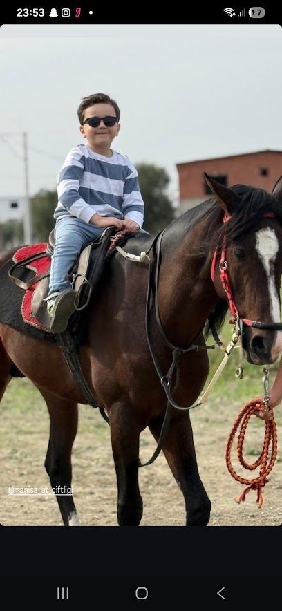 Manisa at çiftliği