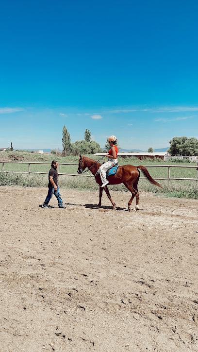 Manisa Atlı Spor Kulubü