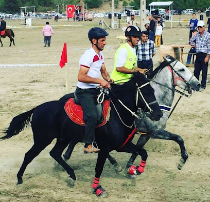 Mardin Akıncılar Lisanslı At Biniciliği ve At Çiftliği