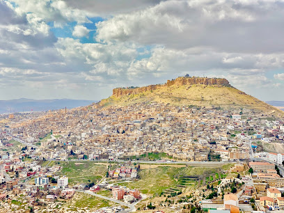 Mardin İli 80 Yıl Cumhuriyet Ormanı