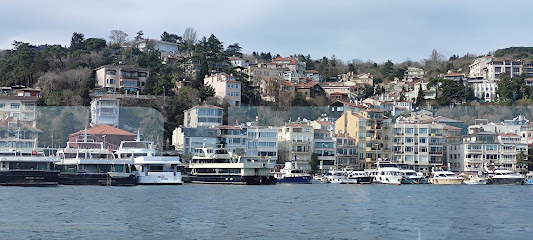 Mavi Denize Yolculuk | Kiralık Tekne, Kiralık Yat, Tekne Turları, Boğaz Gezi Turları