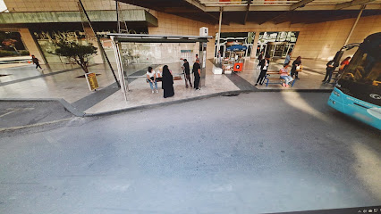 Mavi Rafting Camping